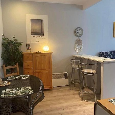 Apartament Snooze Jedlina-Zdroj Zewnętrze zdjęcie